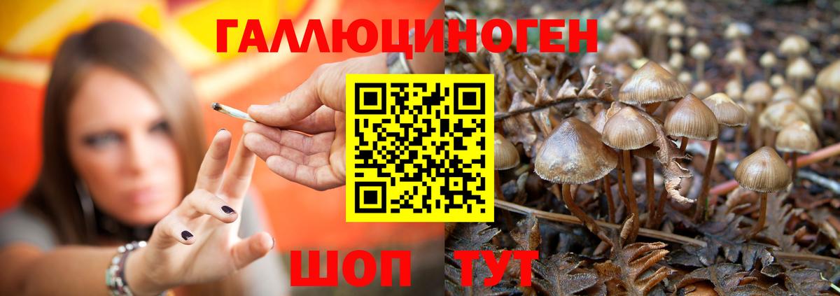 Галлюциногенные грибы мицелий Бузулук